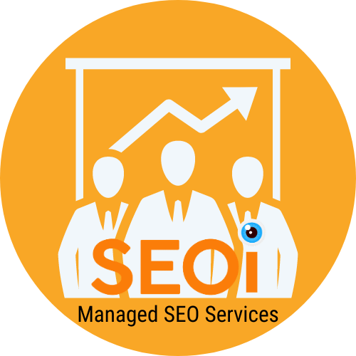 Hire an SEO Professional
